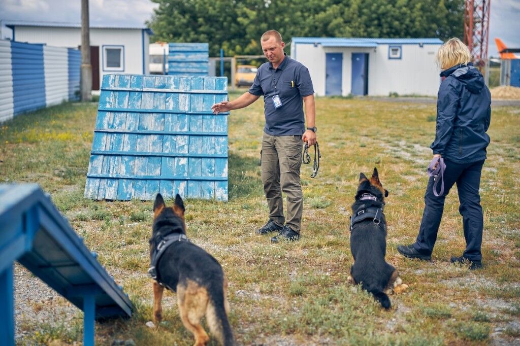 Male and female handlers training German Shepherd dogs outdoors on grassy playground