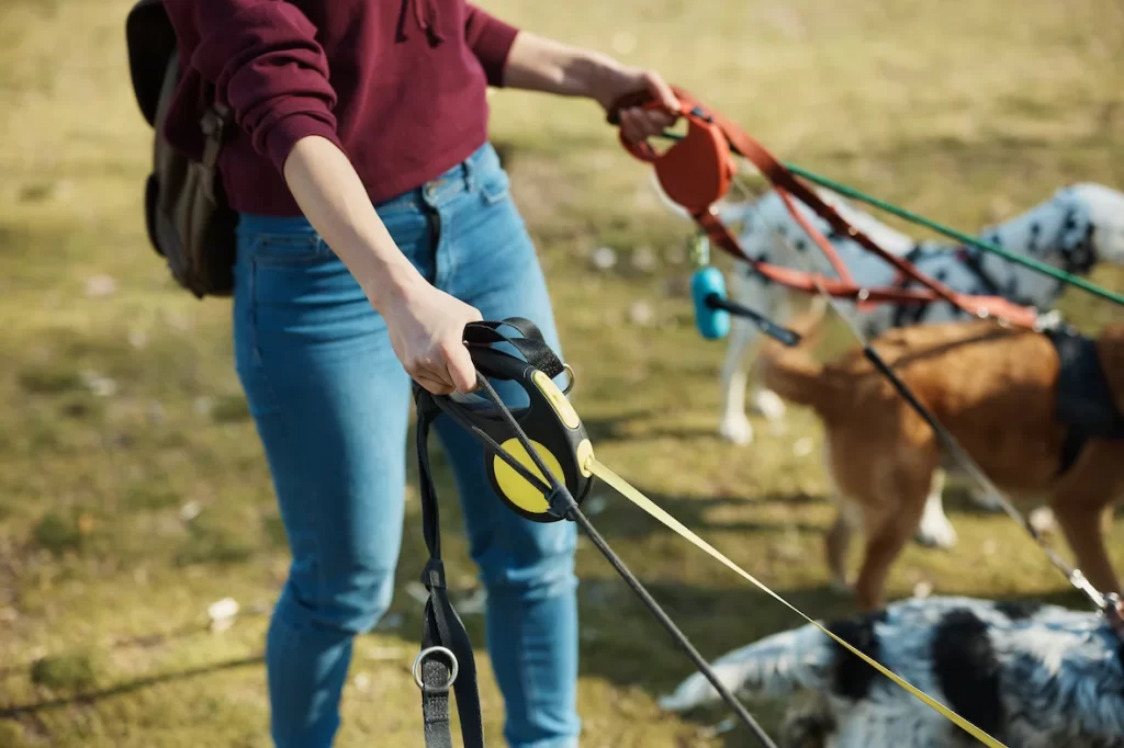Woman holding different coloured dog leashes