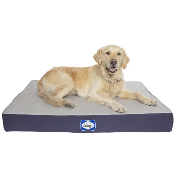 Dog laying on navy sealy defender water resist luxury dog bed