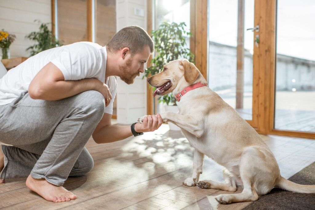 Man playing with dog indoors