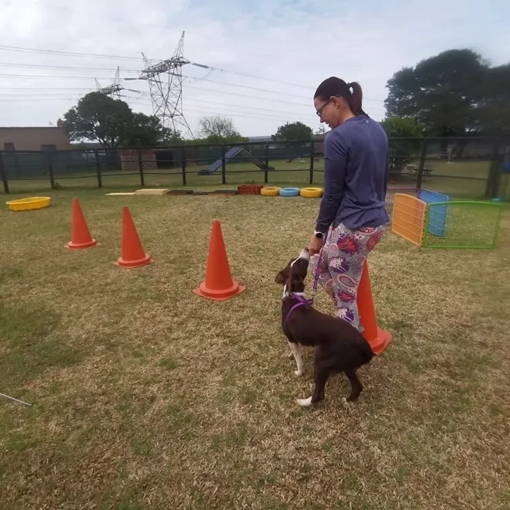Woman training dog at Best Friends Dog School