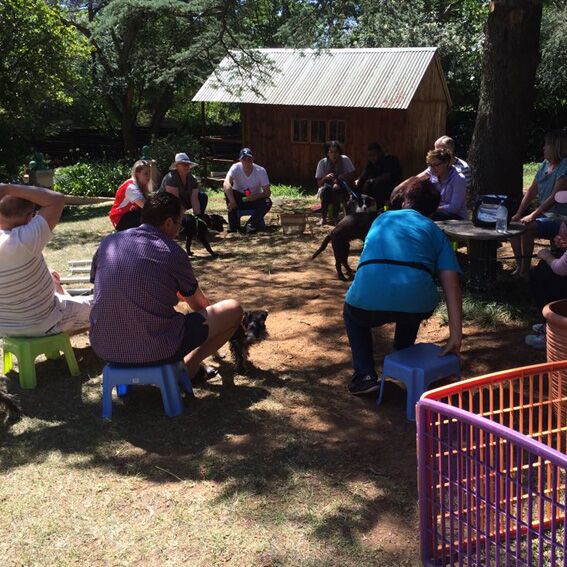 People siting in a circle training dogs. dog training in Gauteng