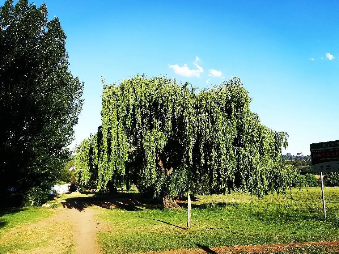 Landscape of Delta Park. Dog-friendly Hiking Trails in Gauteng. Pets24