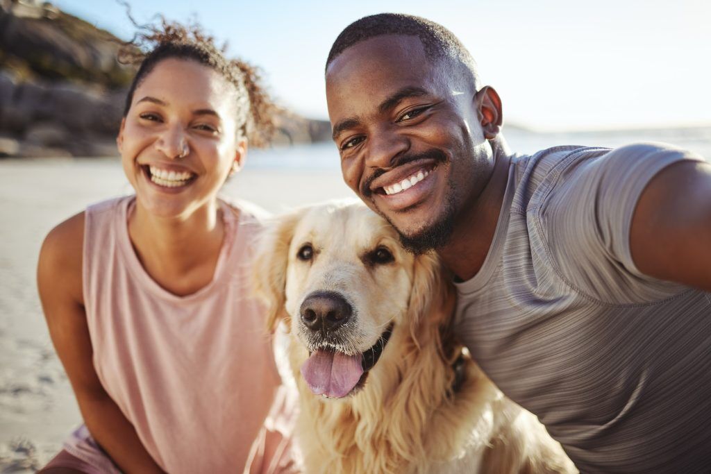 Happy man and woman with dog at the beach. South African Pet laws. Pets24