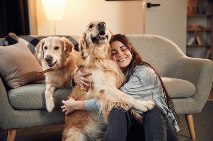Happy woman with two dogs at home. How to Keep Your Home Clean and Dog-Friendly. Pets24