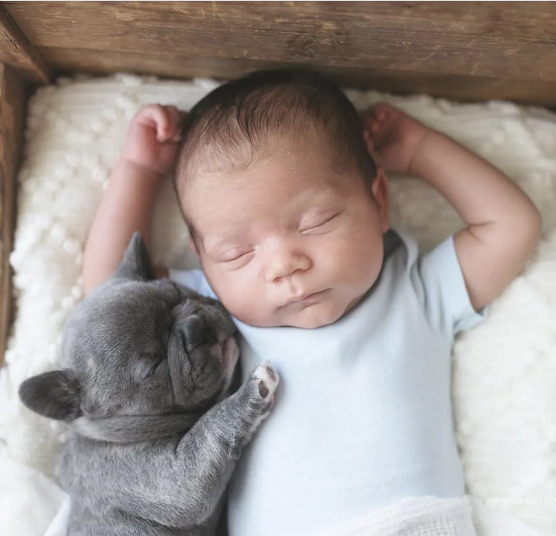 Cute puppy and baby sleeping