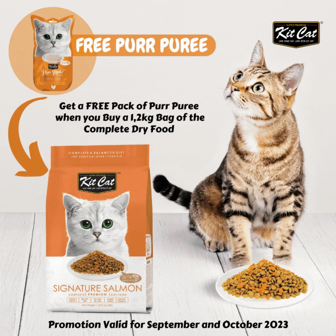 Kit Kat, Purr Puree cat food specials. Mc Mac Pet SA