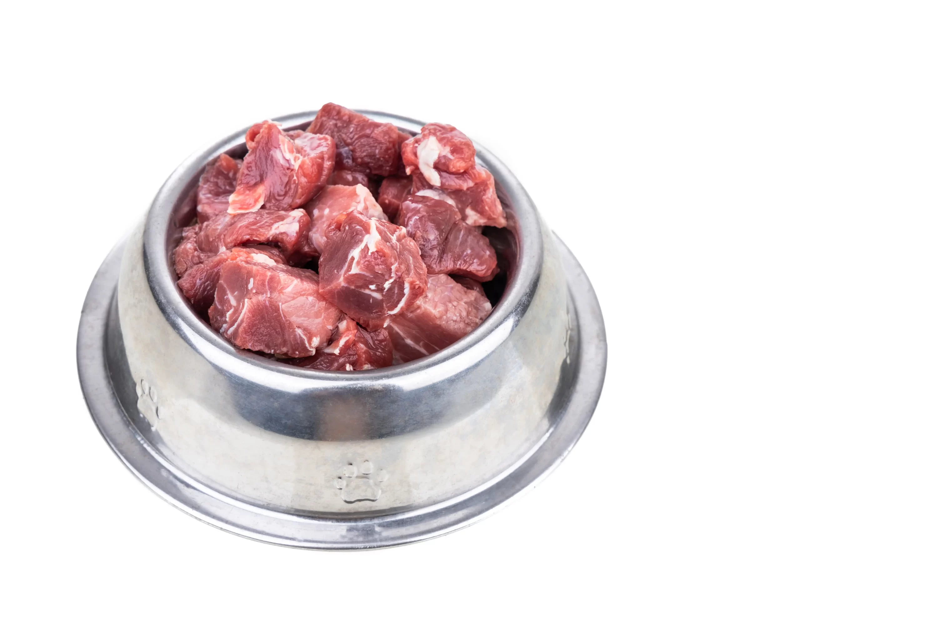Chunks of lean meat in a dog bowl. Human food dogs cat eat. Pets24