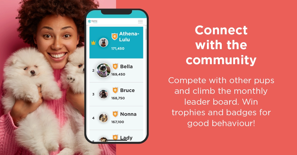 Connect with community on Yapper App