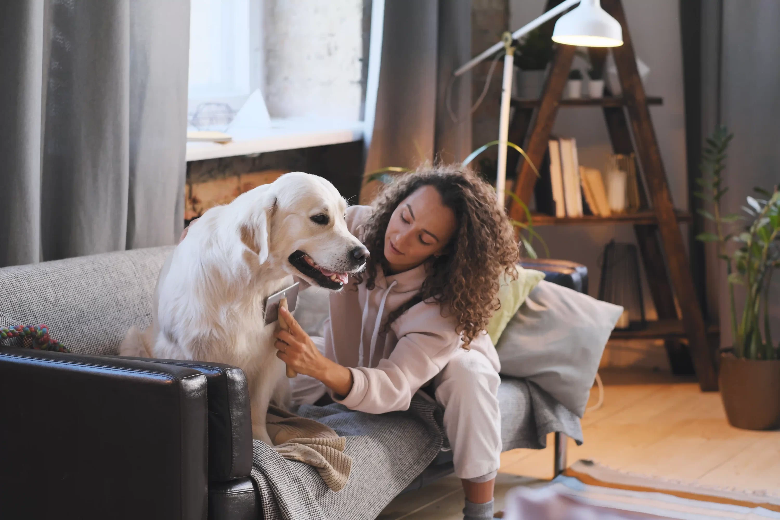 Woman touching dog. Choosing the right pet sitter