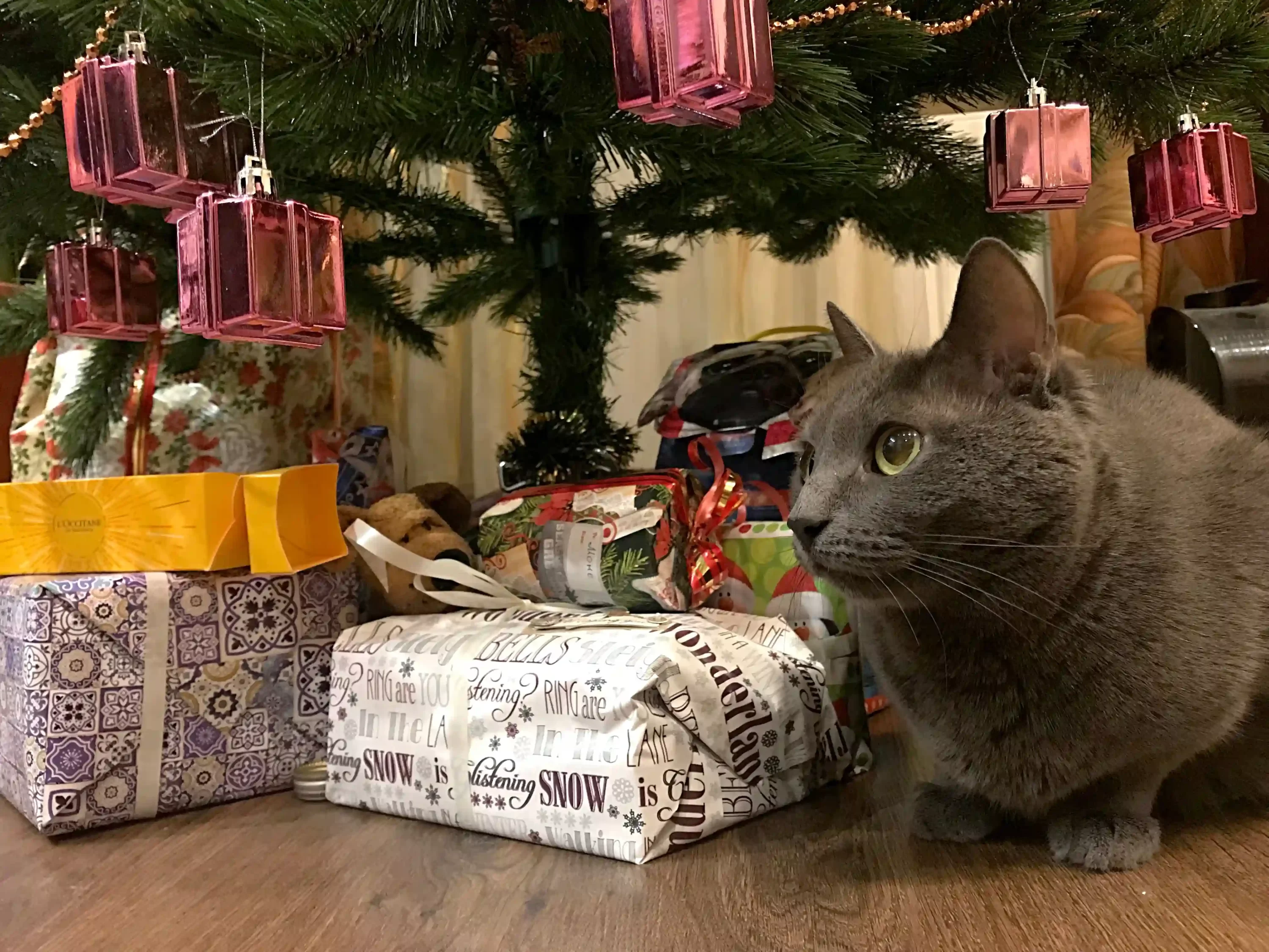 Cat under christmas tree. pet safe gift wrapping