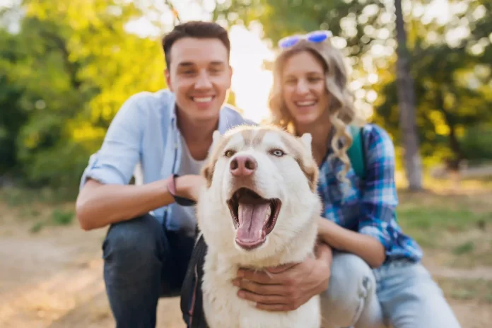 Man and woman with dog. Pet insurance for healthy pets