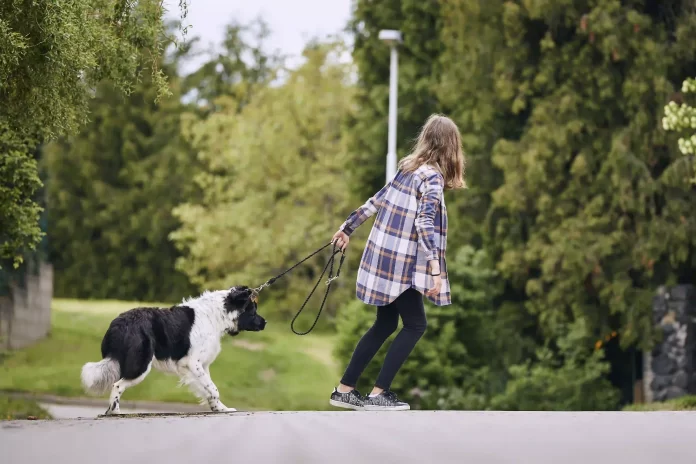 Girl pulling dog with a leash. Best dog leashes for dogs that pull