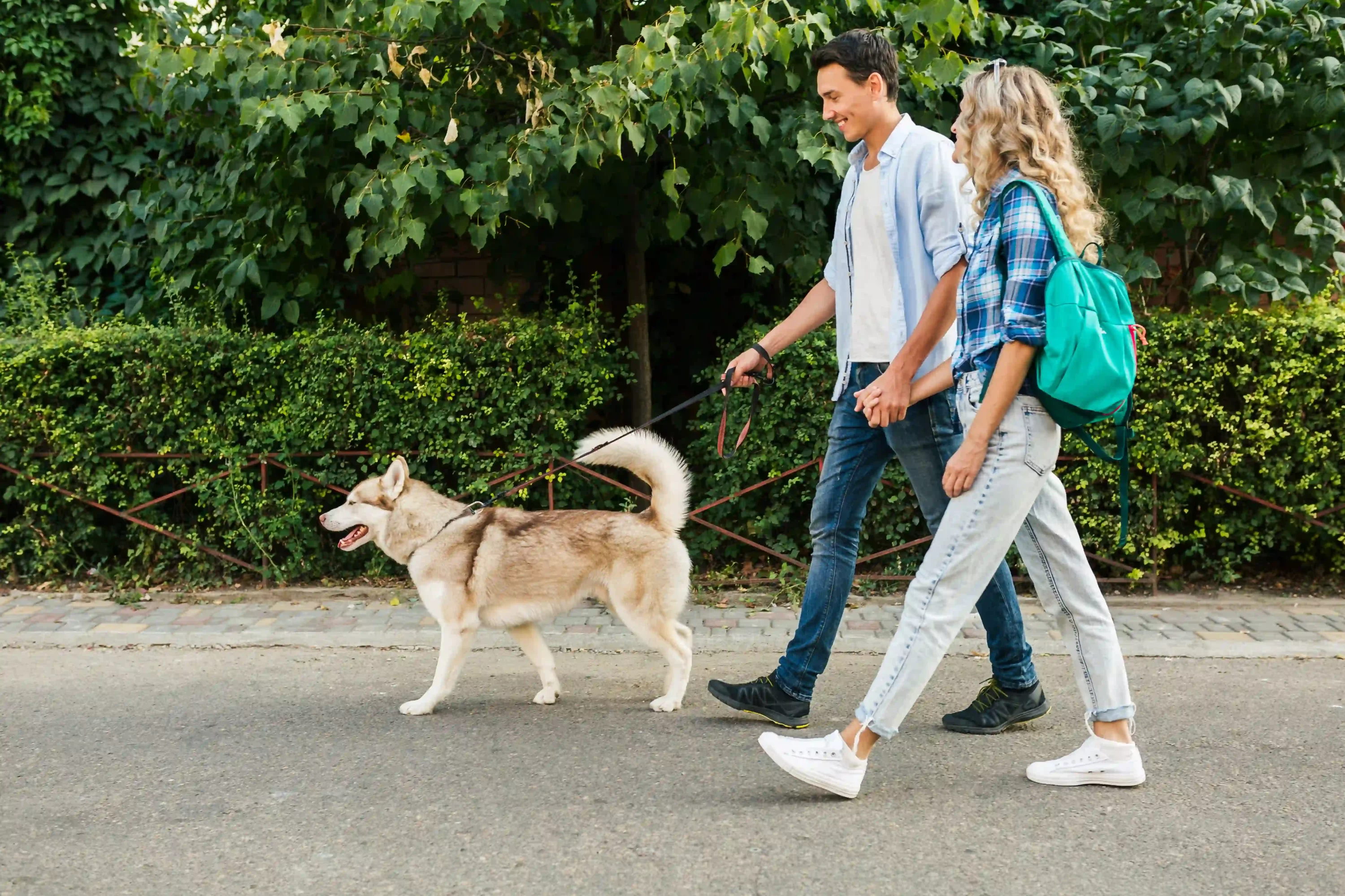 Man and woman walking dog on a leash. Best dog leashes for dogs that pull