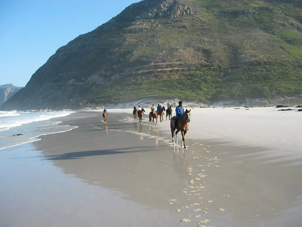 Horse Riding Cape Town Horse riding in the Western Cape 