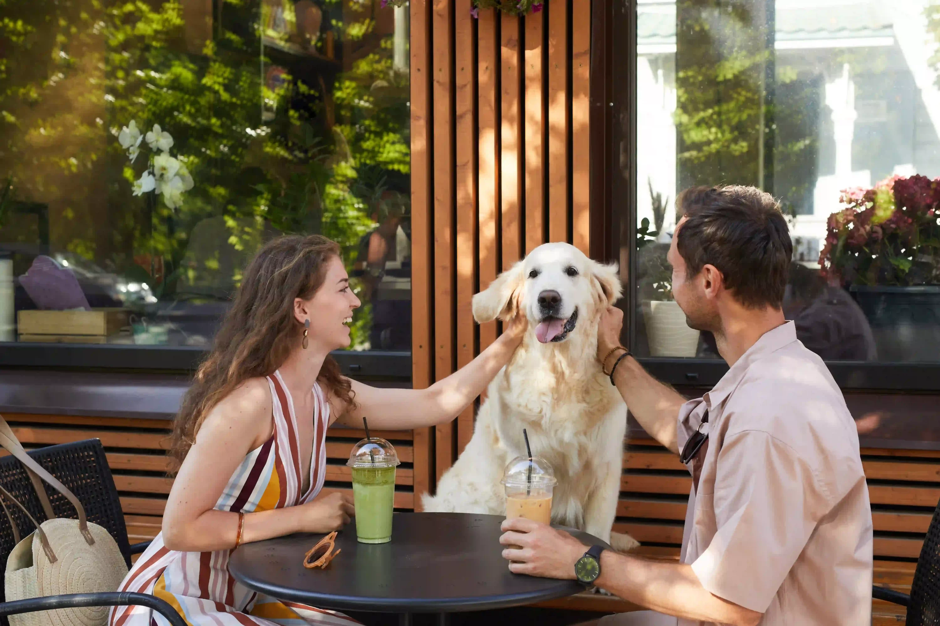 Couple with dog at a restaurant. Valentines Day Gifts for pets