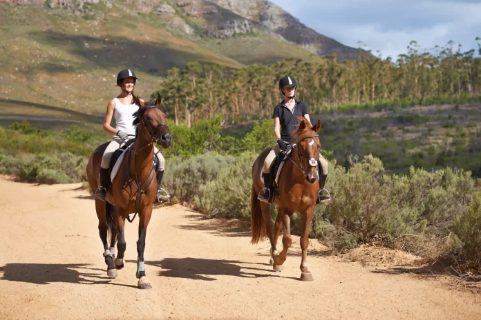 Horse riding in the Western Cape